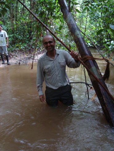 Where the wild things should be Yadvinder Malhi and why rainforest